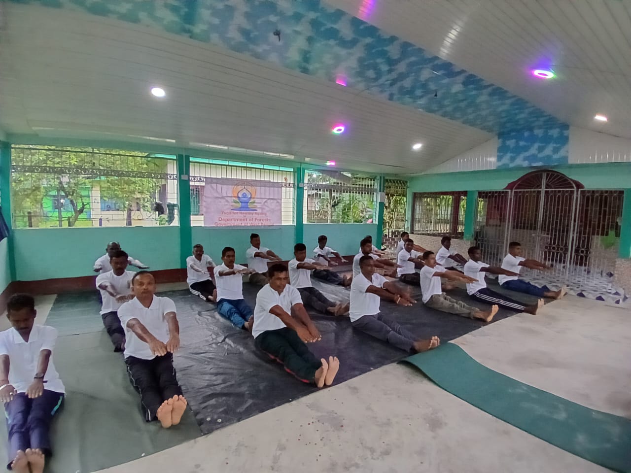 Yoga with Nature