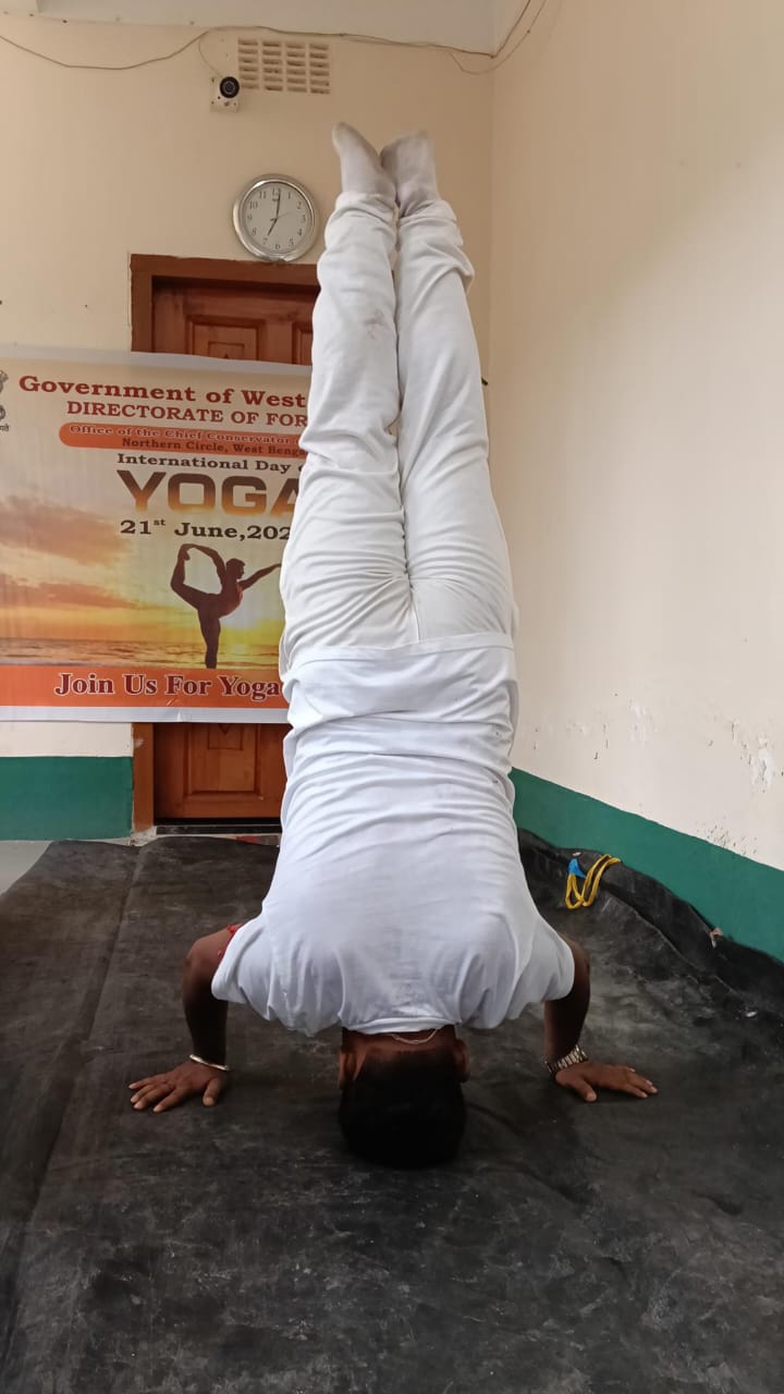 Yoga with Nature