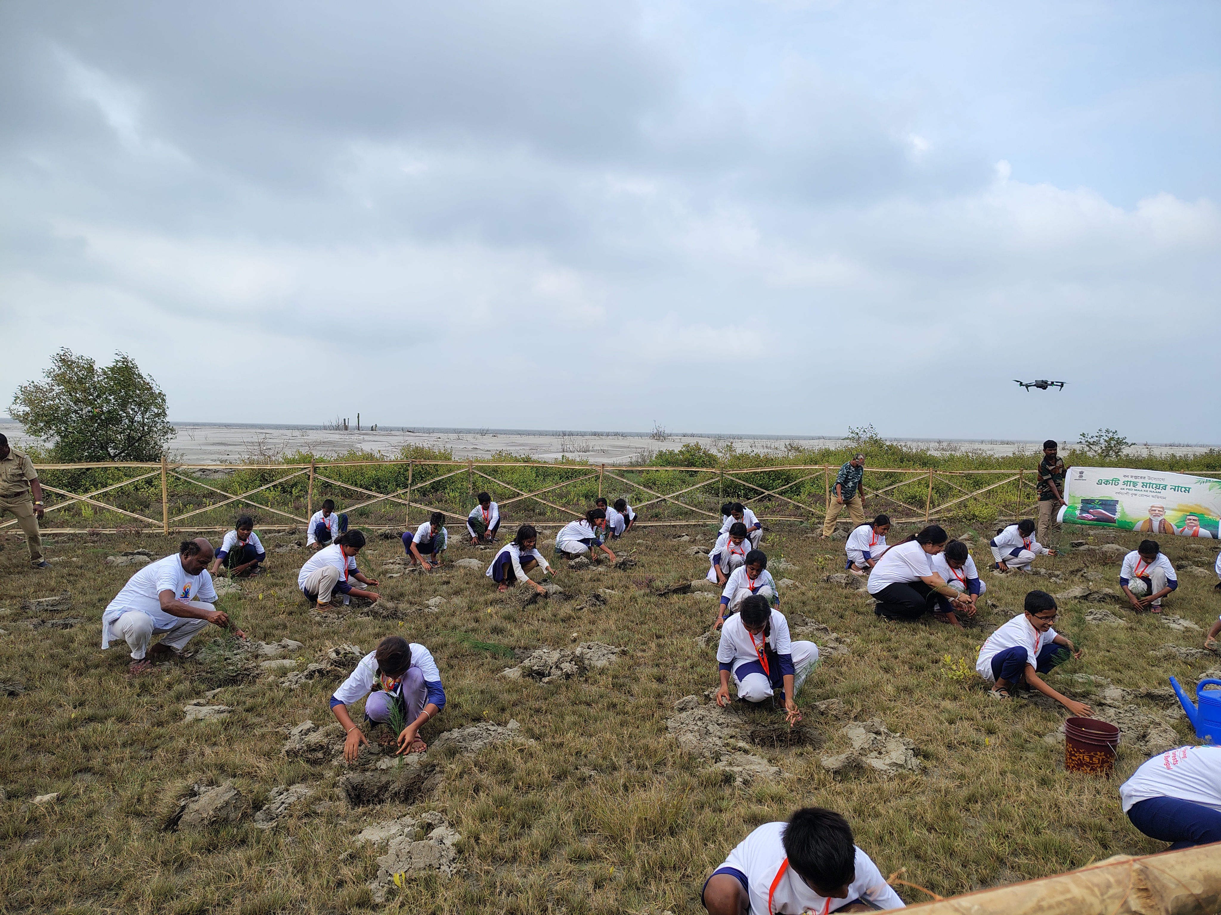 Sundarban Yoga