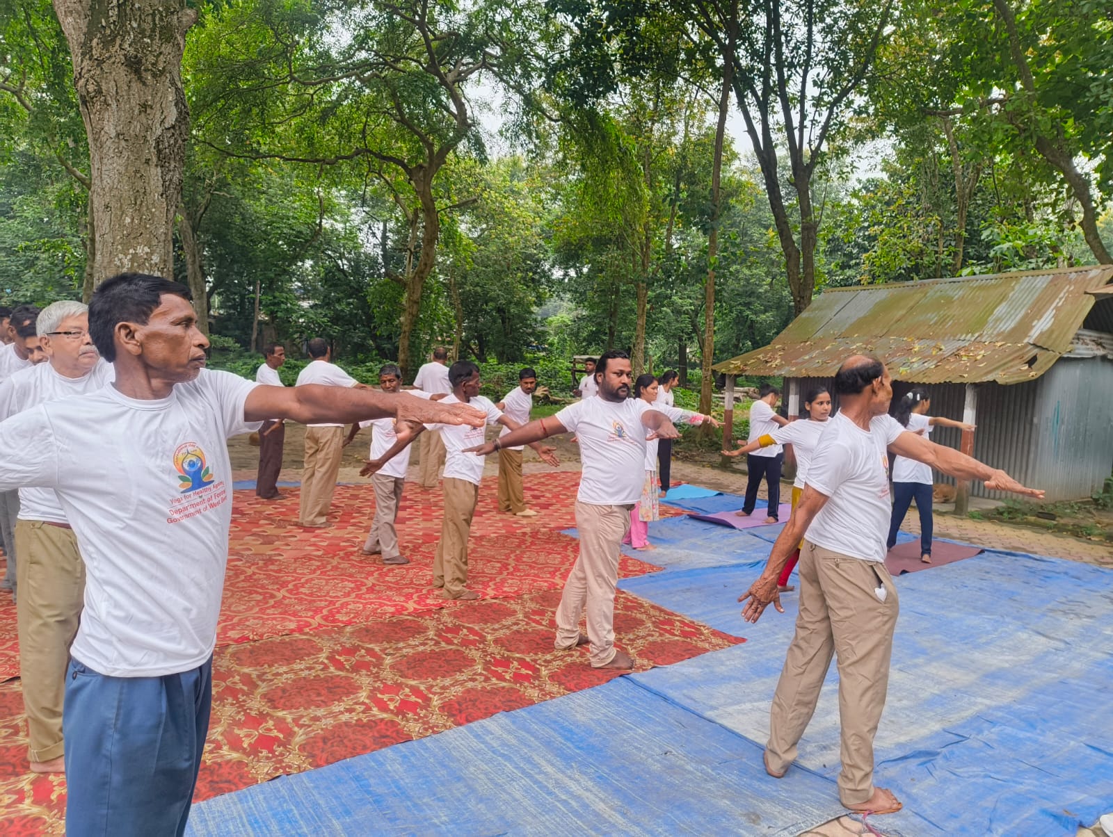 Yoga with Nature